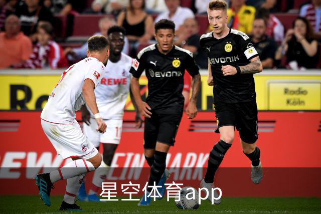 星空体育app公司介绍